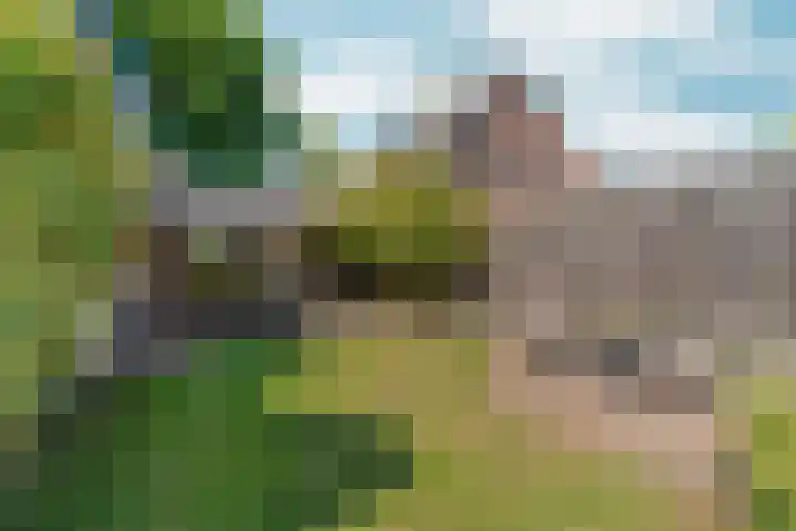 Winkelsteegseweg 22 Nijmegen thumbnail 48