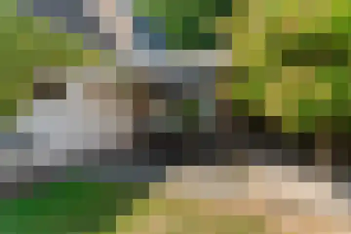 Winkelsteegseweg 22 Nijmegen thumbnail 49