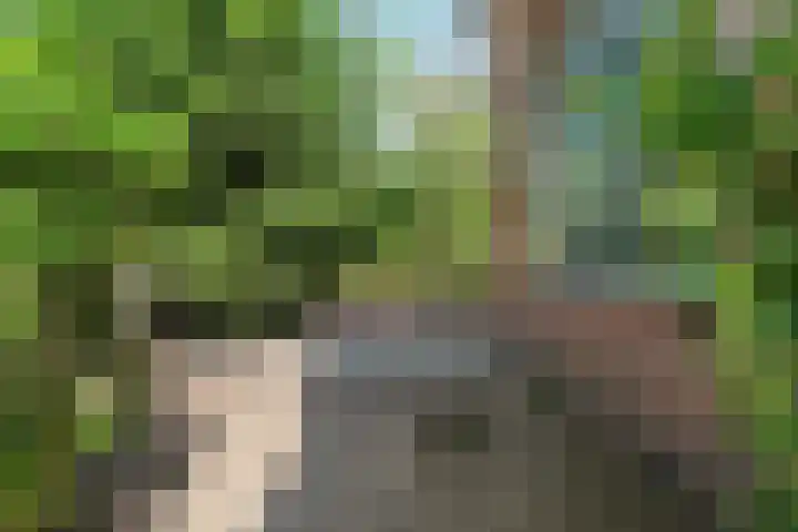 Winkelsteegseweg 22 Nijmegen thumbnail 51