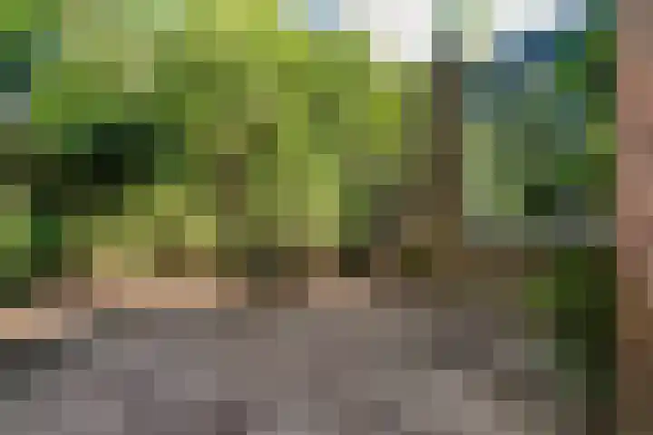Winkelsteegseweg 22 Nijmegen thumbnail 52