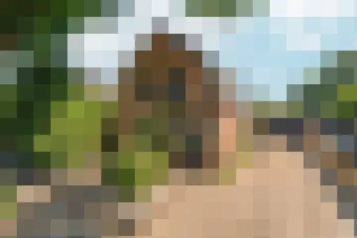 Winkelsteegseweg 22 Nijmegen thumbnail 65