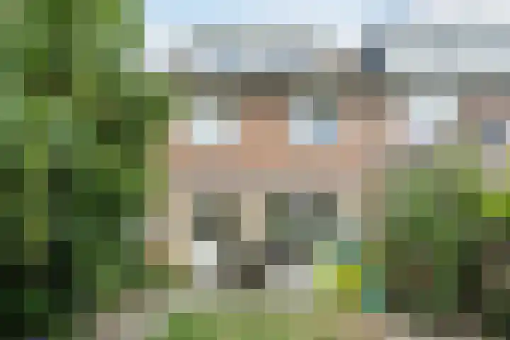 Winkelsteegseweg 35 Nijmegen thumbnail 32