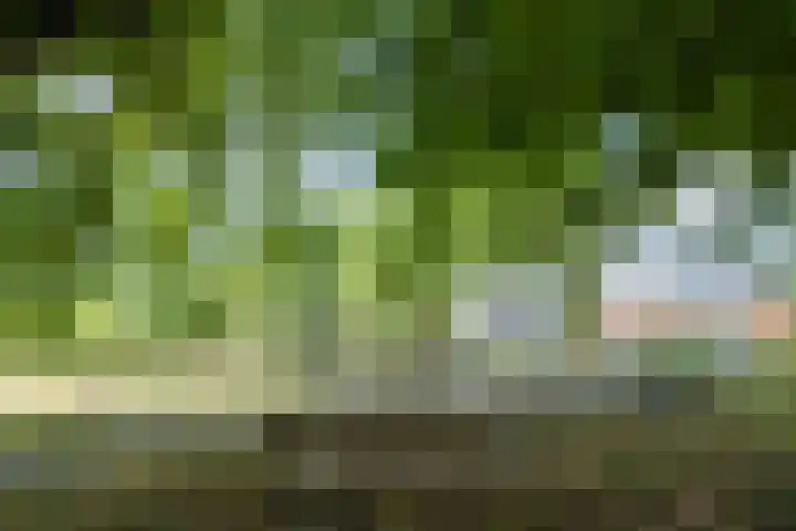 Winkelsteegseweg 35 Nijmegen thumbnail 34