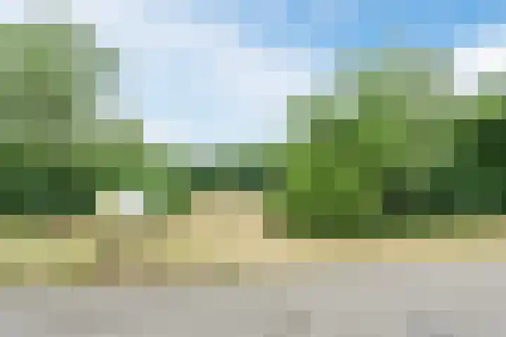 Winkelsteegseweg 35 Nijmegen thumbnail 36
