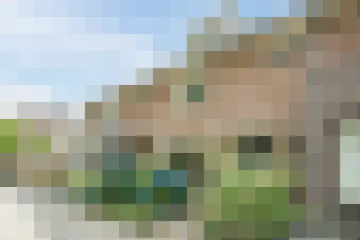 Winkelsteegseweg 35 Nijmegen thumbnail 7
