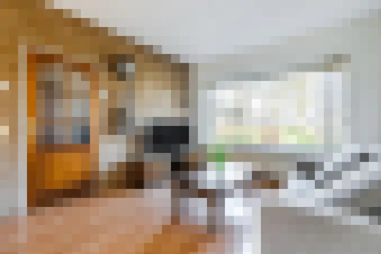 Winkelsteegseweg 41 Nijmegen thumbnail 5