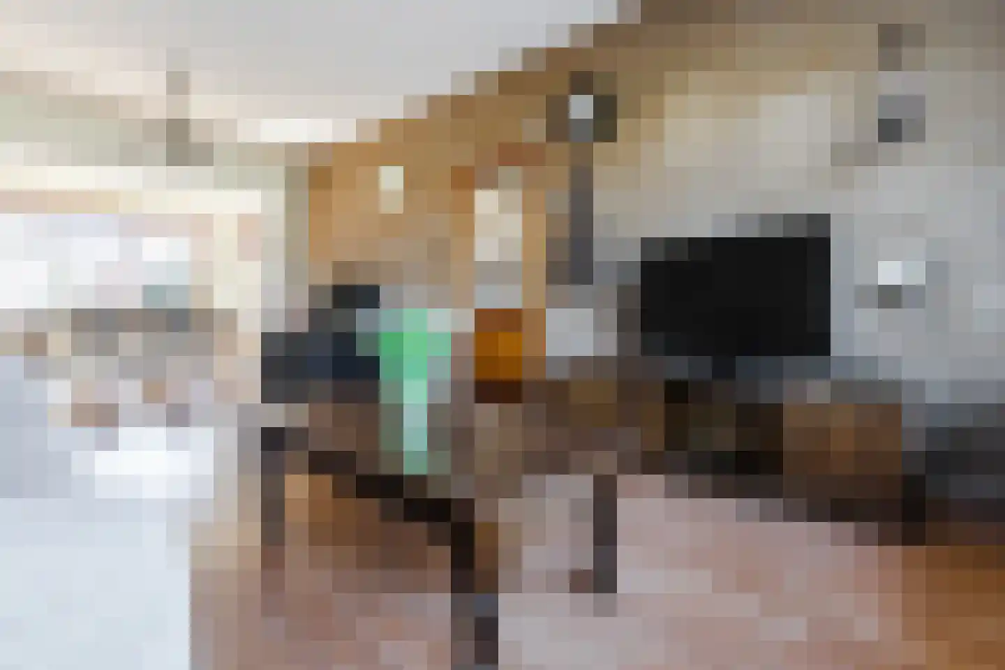 Winkelsteegseweg 41 Nijmegen thumbnail 8