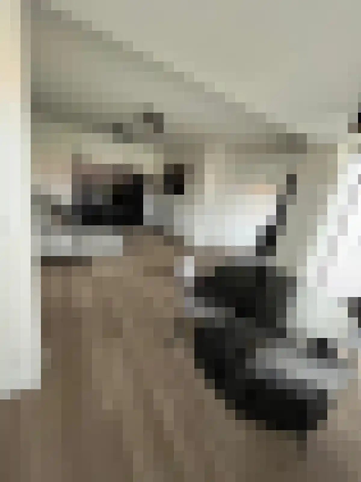 Winkelstraat 15 B Eindhoven thumbnail 5