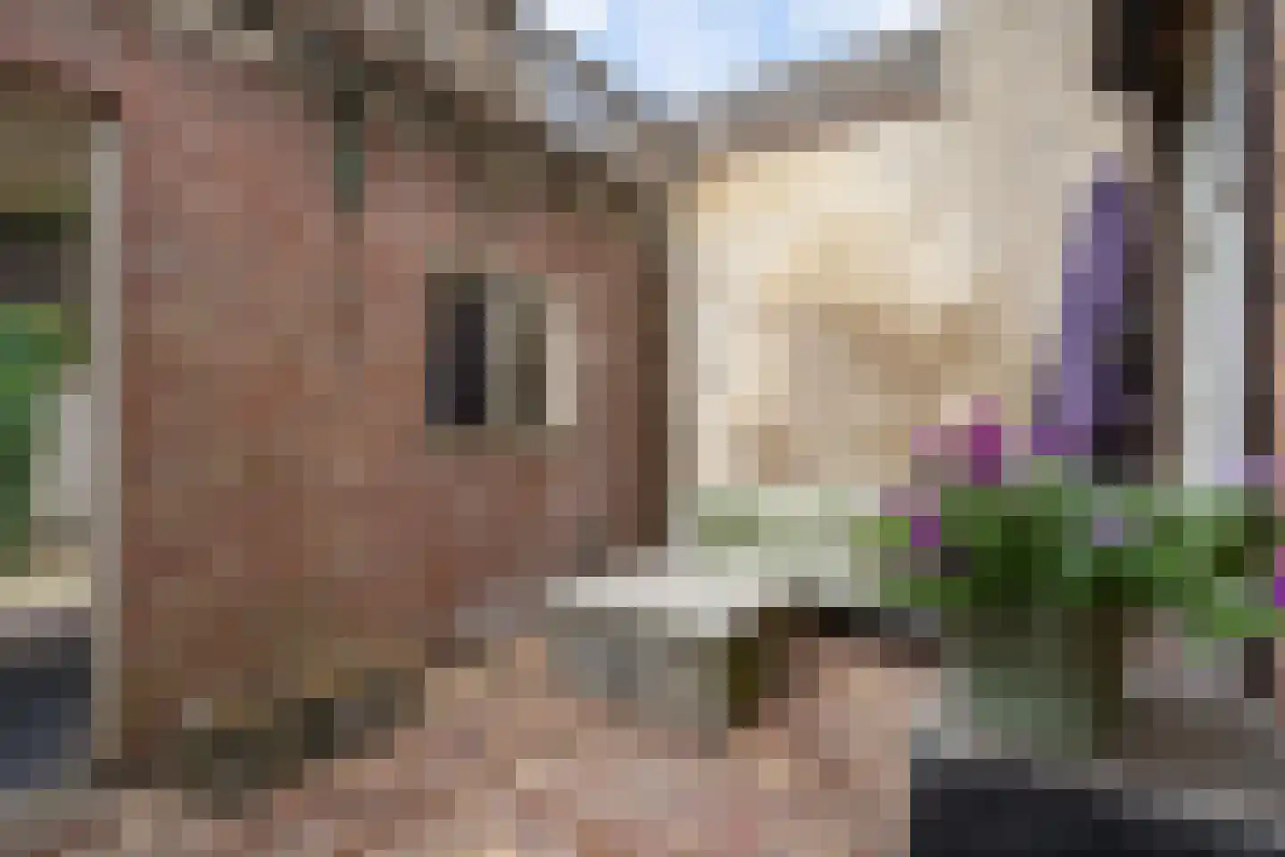 Winkelstraat 4 Ravenstein thumbnail 34
