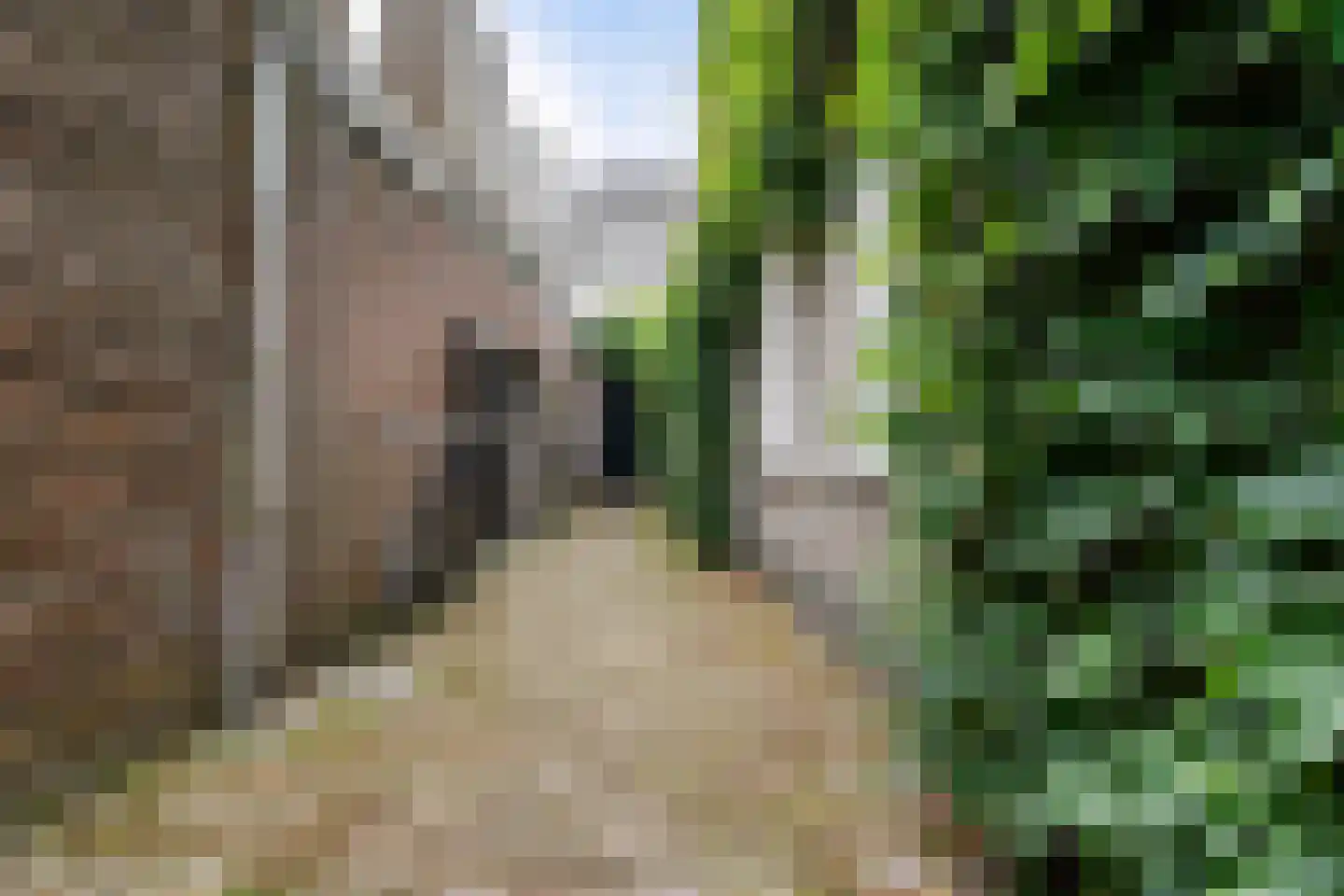 Winkelstraat 4 Ravenstein thumbnail 37