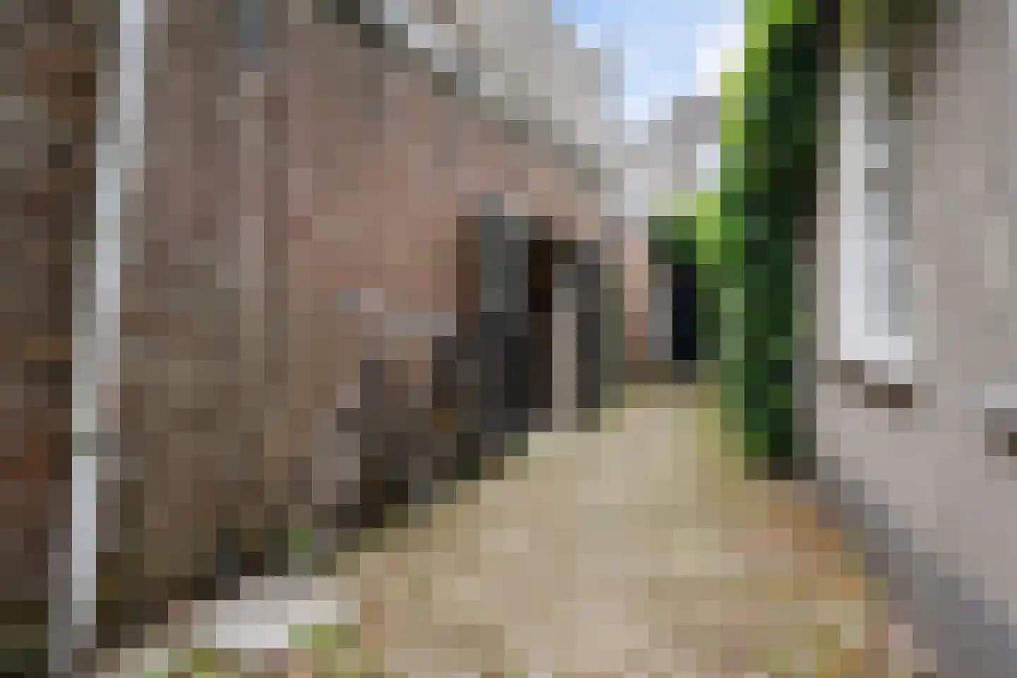 Winkelstraat 4 Ravenstein thumbnail 38