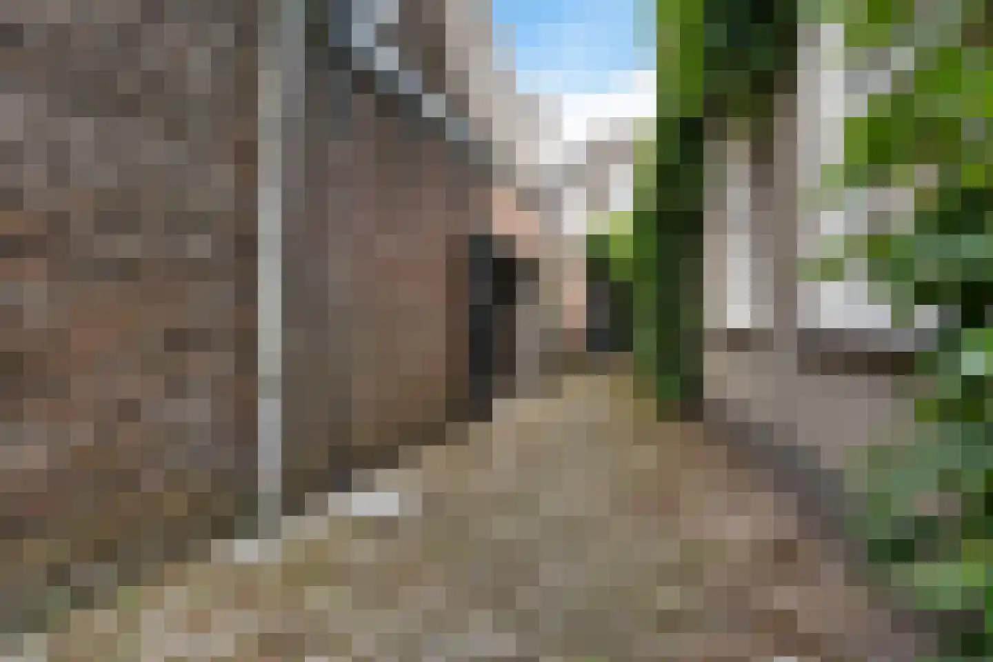 Winkelstraat 4 Ravenstein thumbnail 45