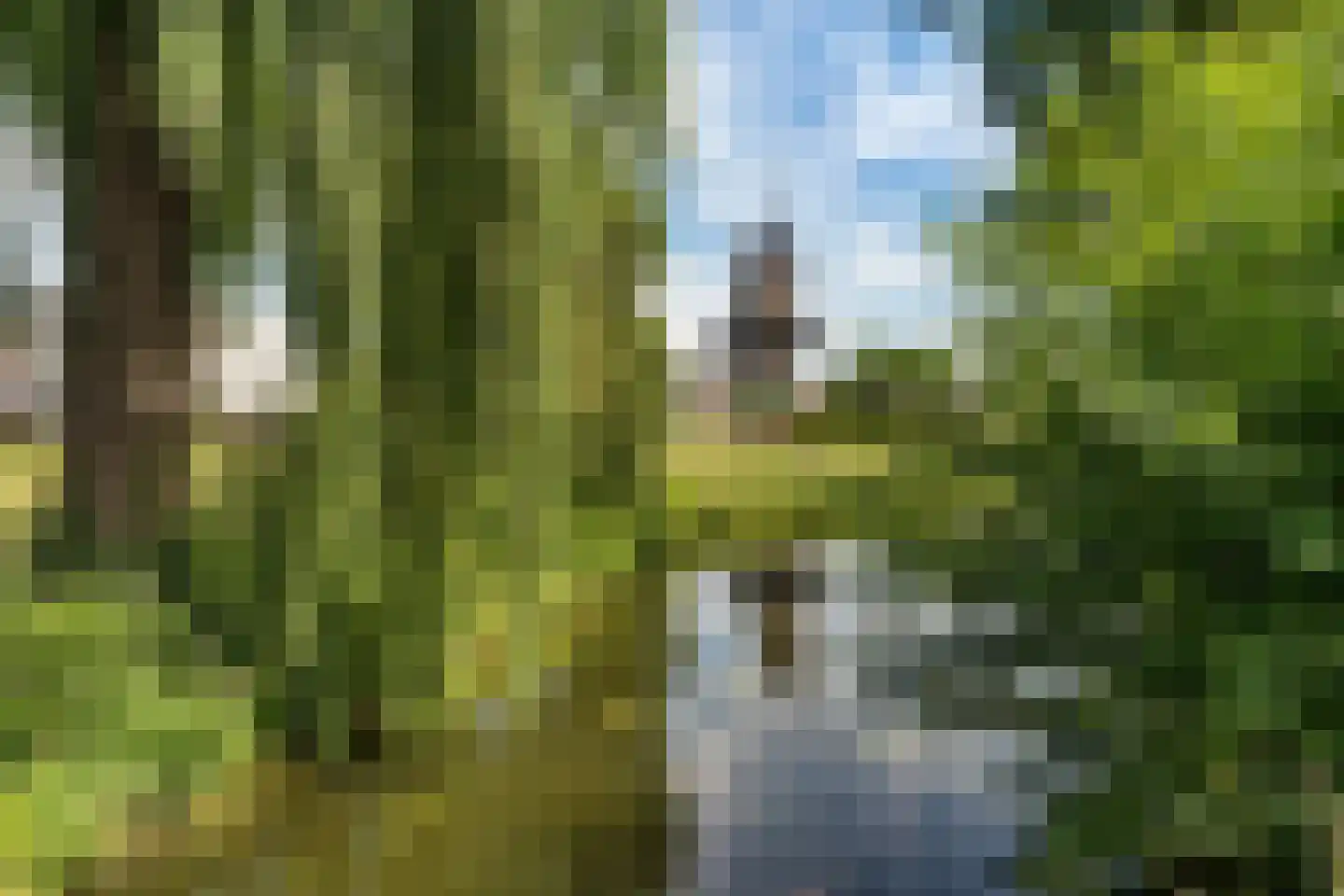 Winkelstraat 4 Ravenstein thumbnail 49