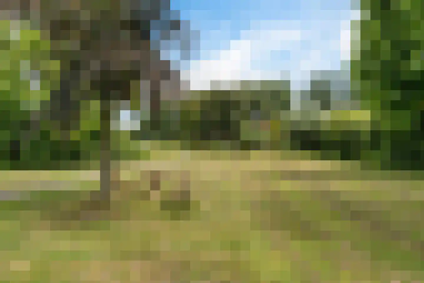 Winkelstraat 4 Ravenstein thumbnail 52