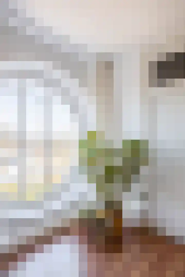 Winkelveldstraat 5 F Venlo thumbnail 9