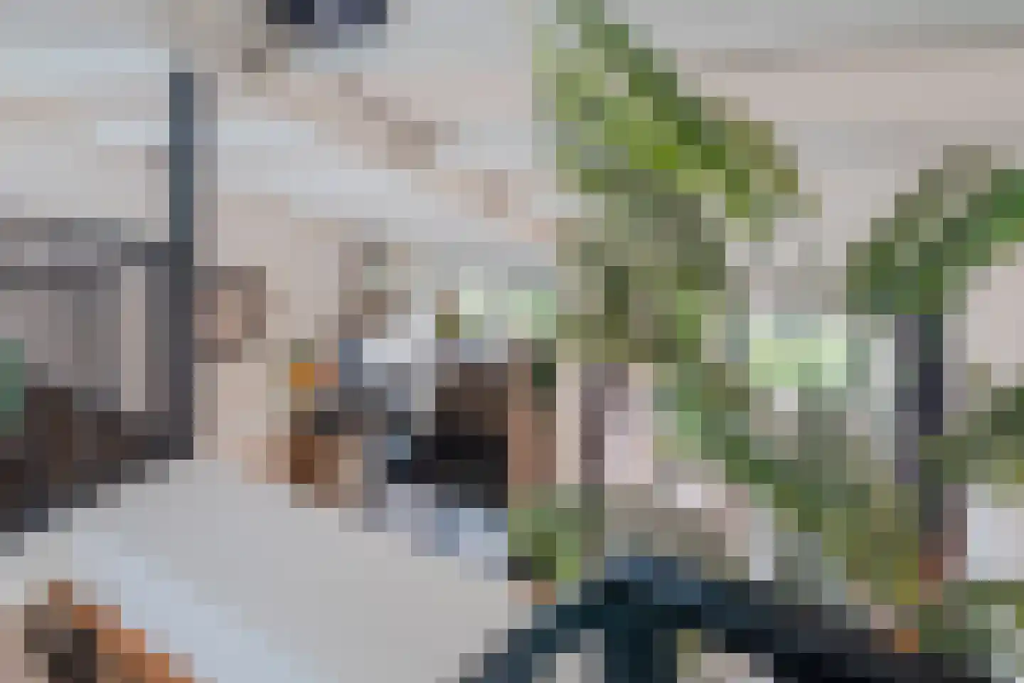 Winkelwaard 100 Alkmaar thumbnail 31