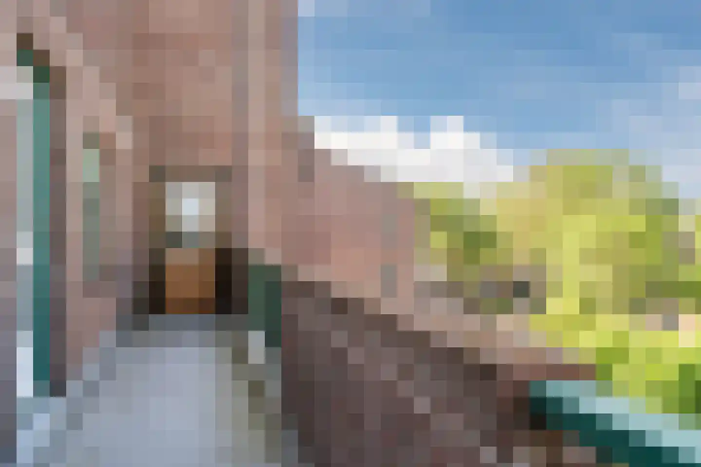 Winkelwaard 100 Alkmaar thumbnail 41