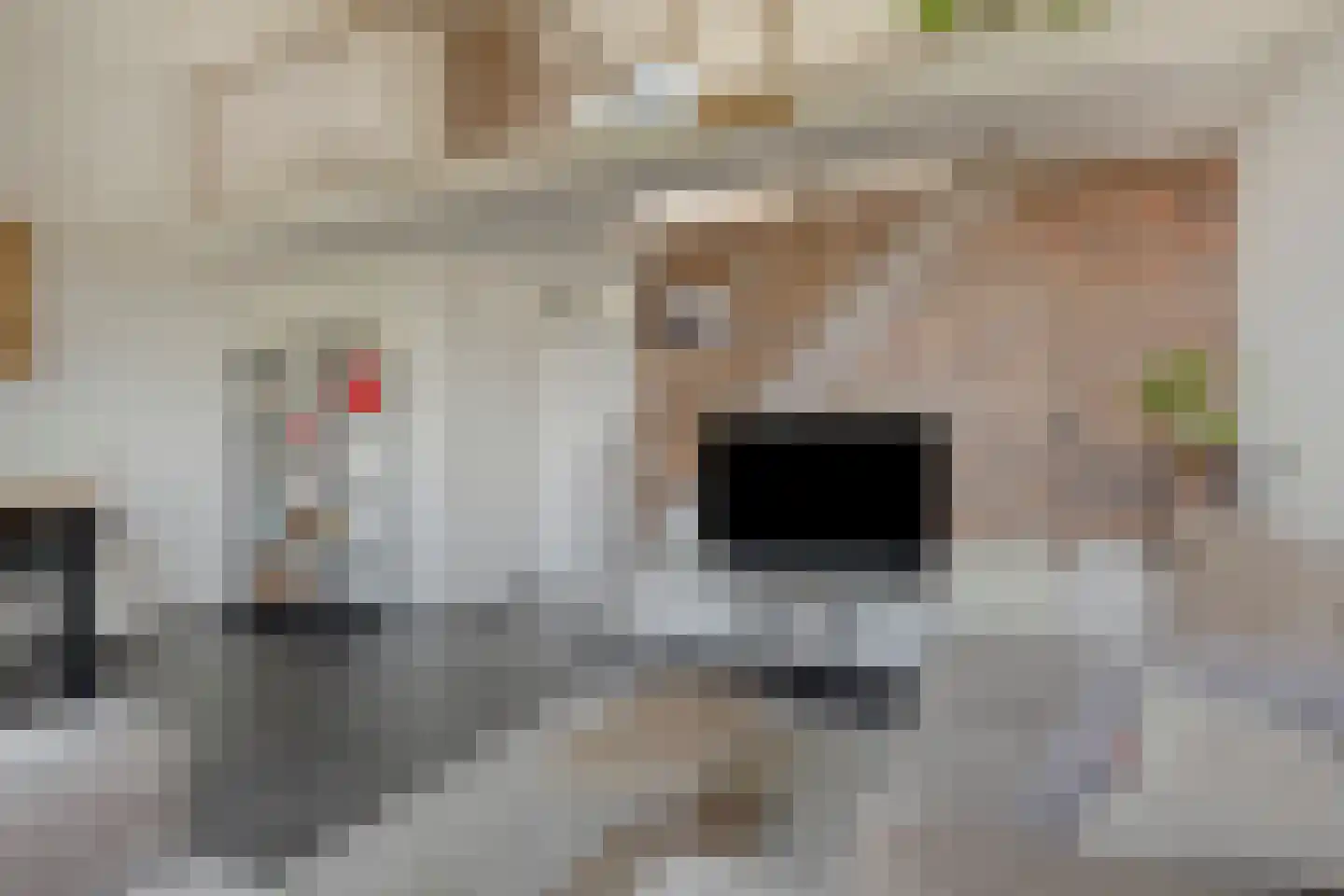 Winkelwaard 104 Alkmaar thumbnail 17
