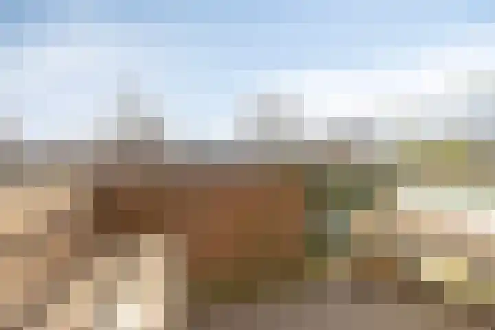 Winkelwaard 12 Alkmaar thumbnail 12