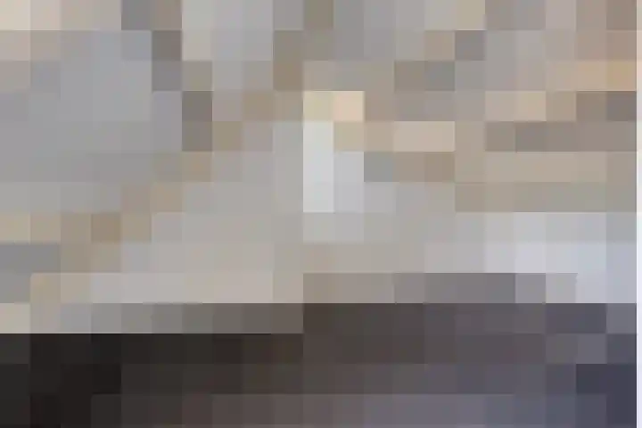 Winkelwaard 12 Alkmaar thumbnail 26