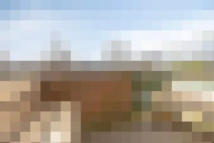 Winkelwaard 12 Alkmaar thumbnail 4