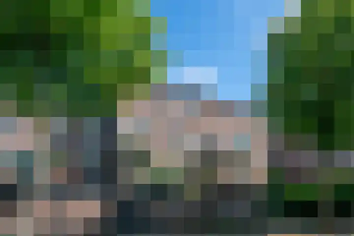 Winkelwaard 13 in Alkmaar