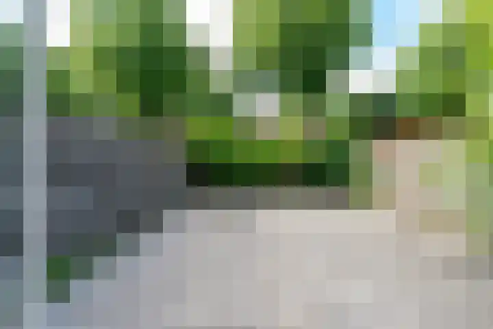Winkelwaard 13 Alkmaar thumbnail 28