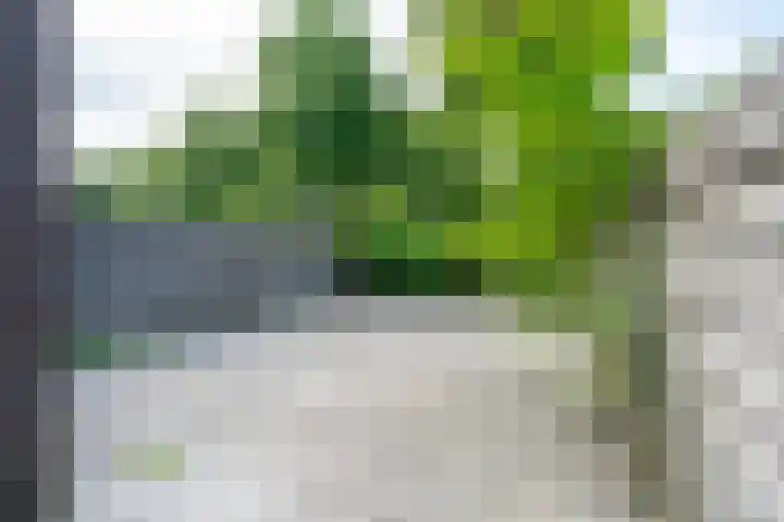 Winkelwaard 13 Alkmaar thumbnail 30