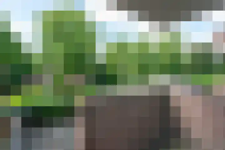 Winkelwaard 13 Alkmaar thumbnail 32