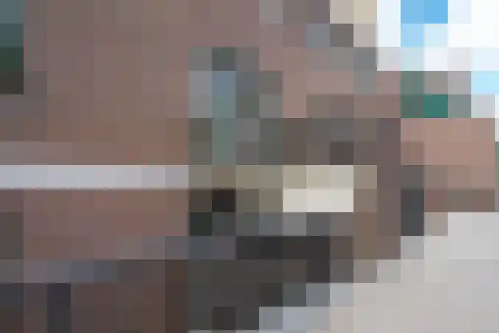 Winkelwaard 13 Alkmaar thumbnail 4