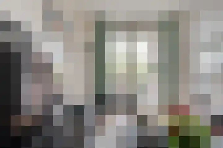 Winkelwaard 15 Alkmaar thumbnail 11