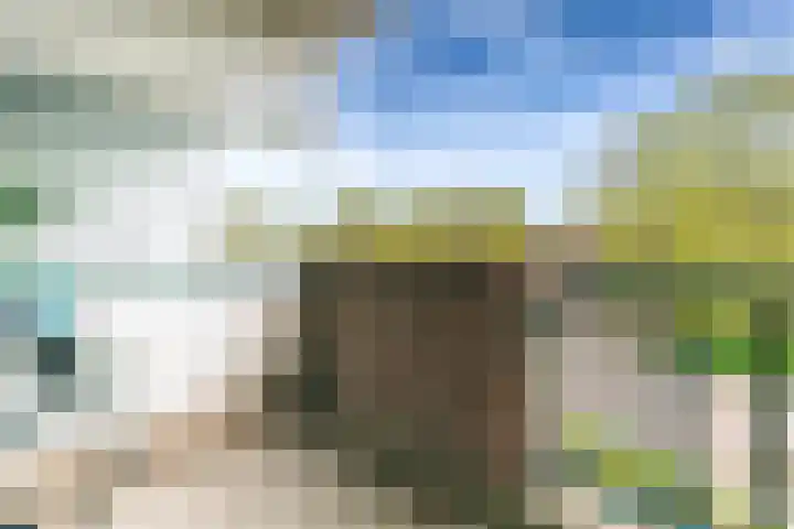 Winkelwaard 15 Alkmaar thumbnail 23