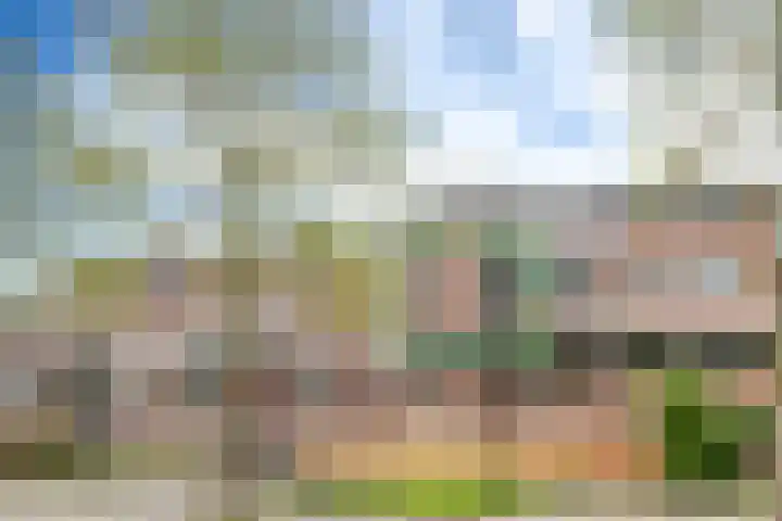 Winkelwaard 15 Alkmaar thumbnail 29