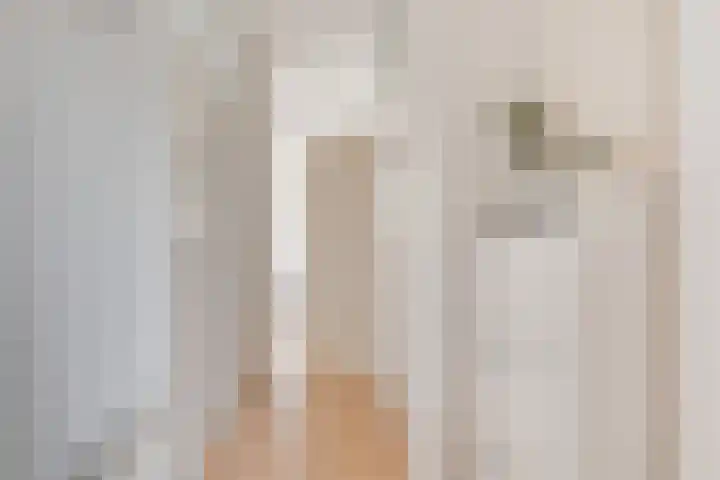 Winkelwaard 15 Alkmaar thumbnail 4