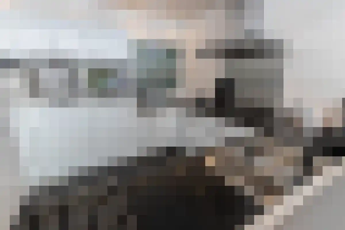 Winkelwaard 203 Alkmaar thumbnail 10