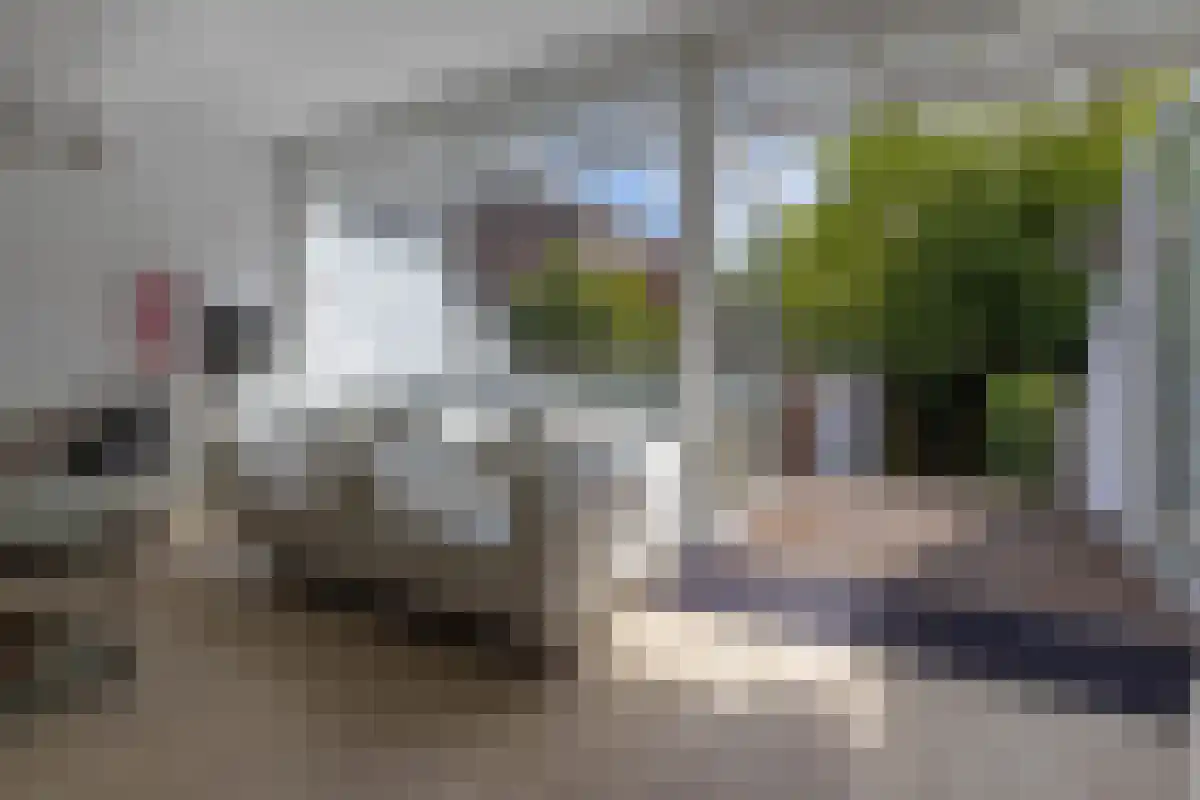 Winkelwaard 203 Alkmaar thumbnail 12