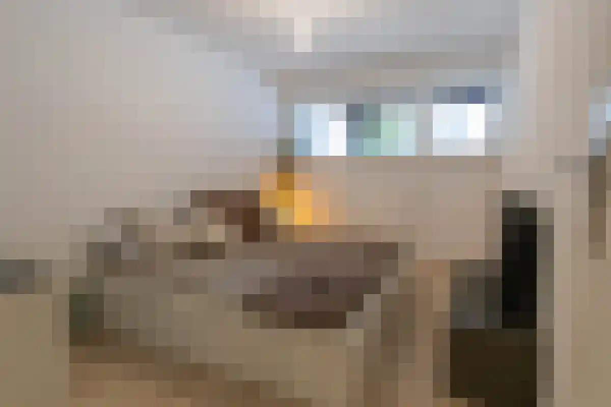 Winkelwaard 203 Alkmaar thumbnail 25