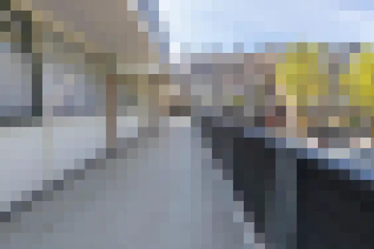 Winkelwaard 203 Alkmaar thumbnail 33