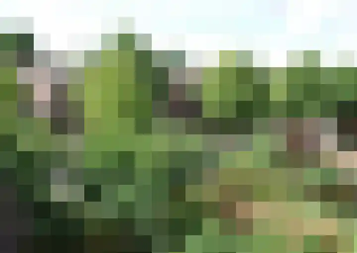 Winkelwaard 21 Alkmaar thumbnail 11