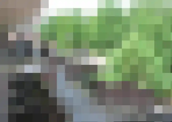 Winkelwaard 21 Alkmaar thumbnail 4