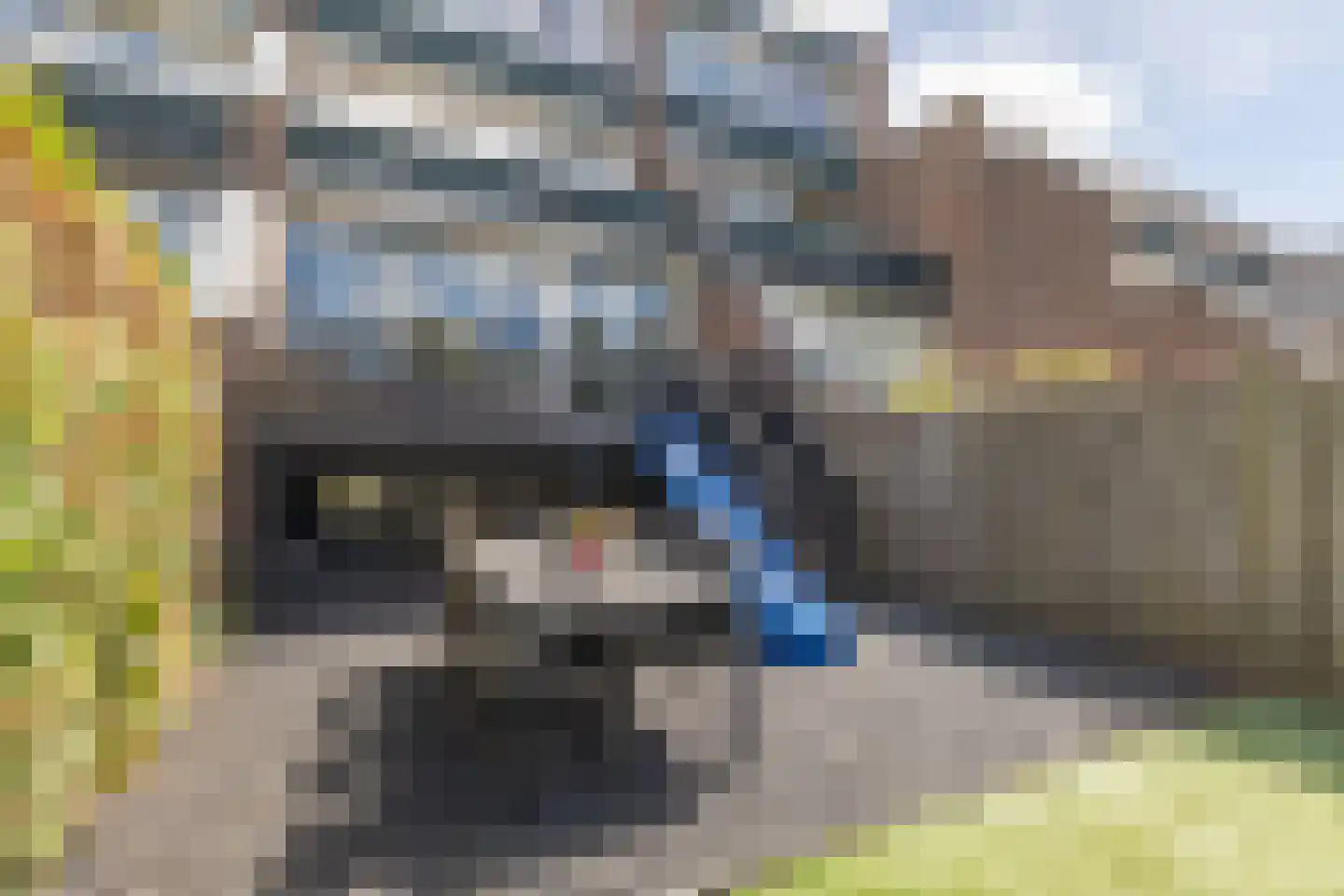 Winkelwaard 215 Alkmaar thumbnail 28