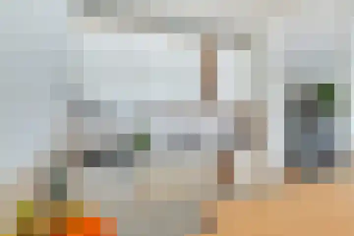 Winkelwaard 221 Alkmaar thumbnail 11
