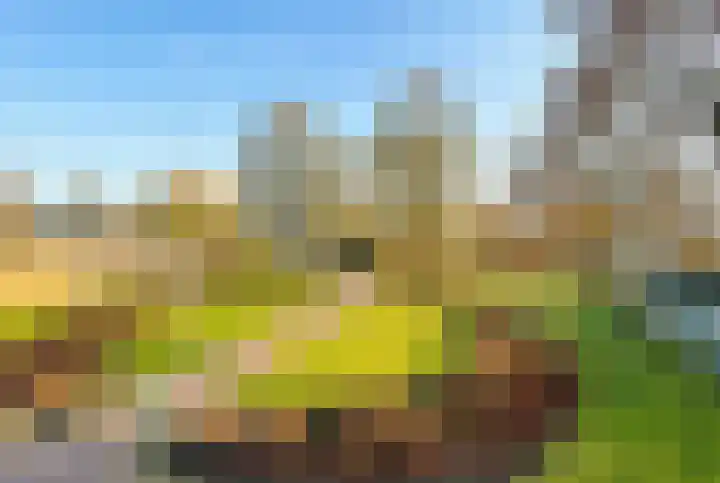 Winkelwaard 221 Alkmaar thumbnail 25