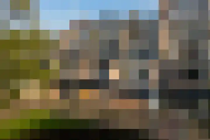 Winkelwaard 221 Alkmaar thumbnail 5