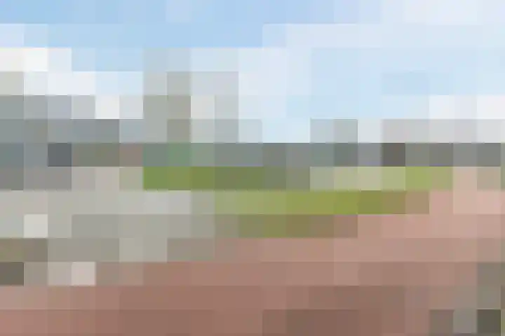 Winkelwaard 228 Alkmaar thumbnail 28