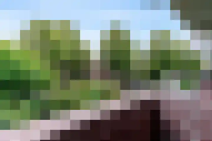 Winkelwaard 23 Alkmaar thumbnail 10