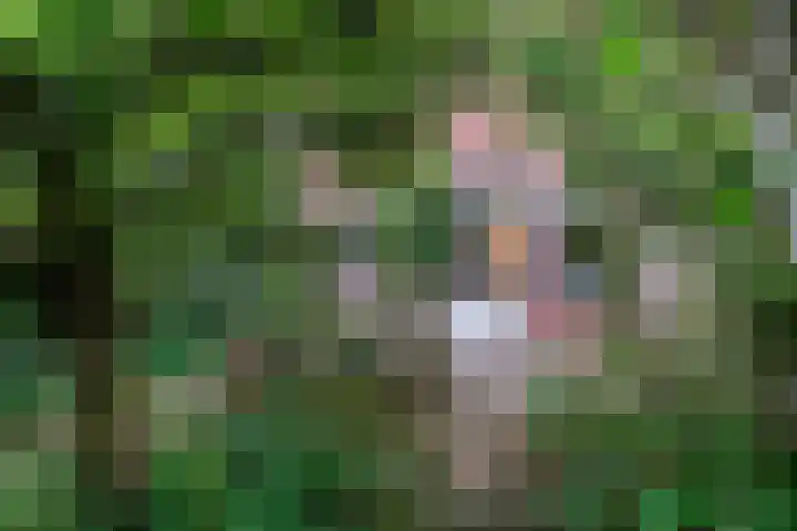 Winkelwaard 23 Alkmaar thumbnail 22
