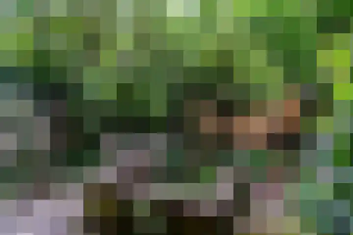 Winkelwaard 23 Alkmaar thumbnail 24