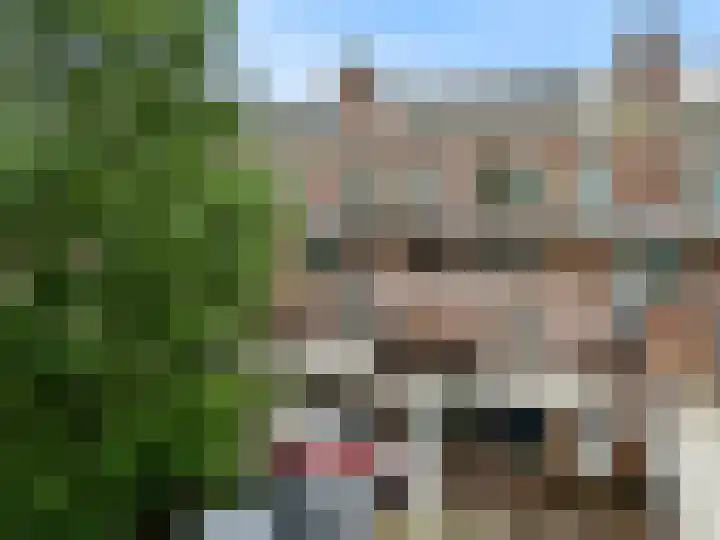 Winkelwaard 23 Alkmaar thumbnail 27