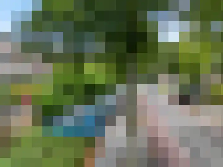 Winkelwaard 23 Alkmaar thumbnail 28